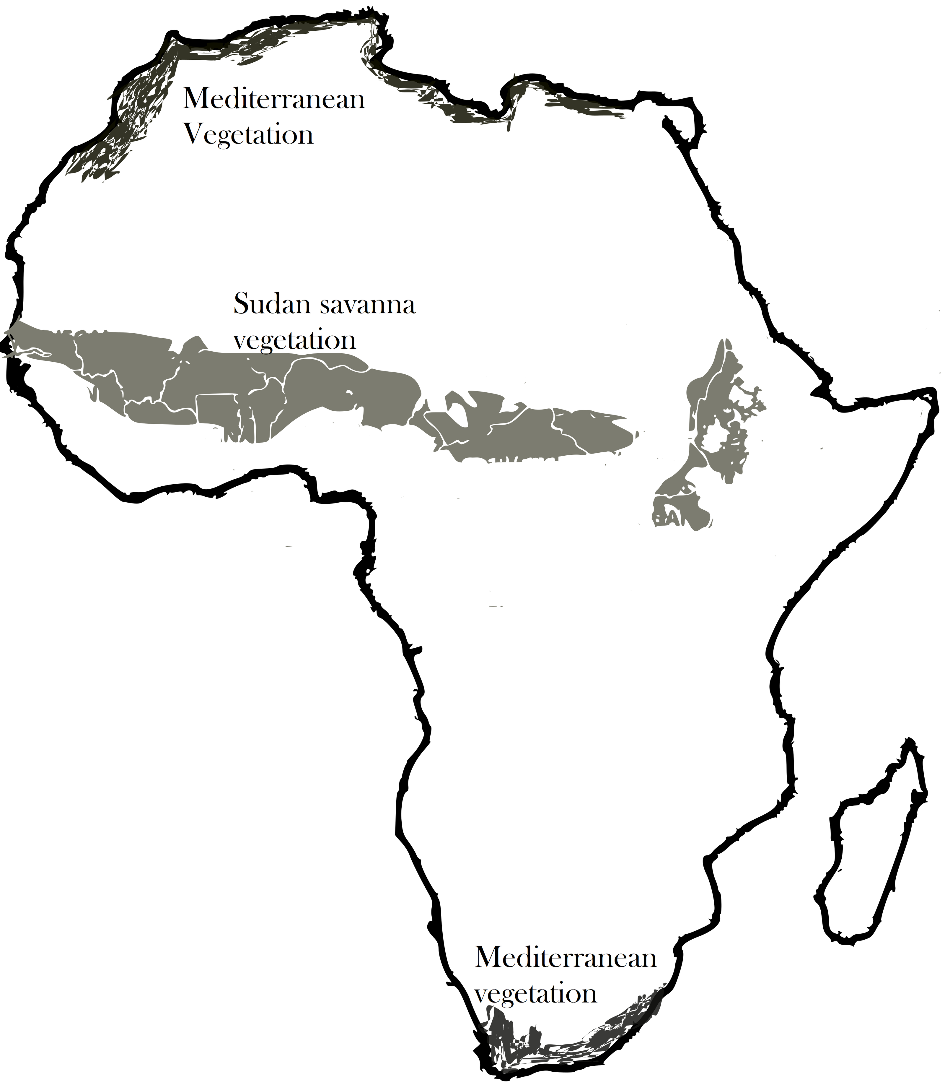 Sketch Map of Africa - Vegetation Zones